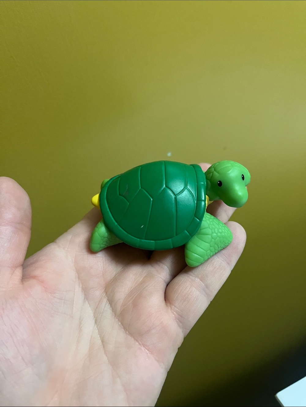 Little People turtle 2011